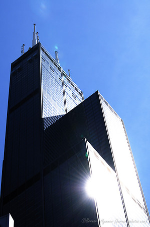 D300_64396