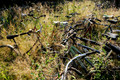 D300_45620.jpg