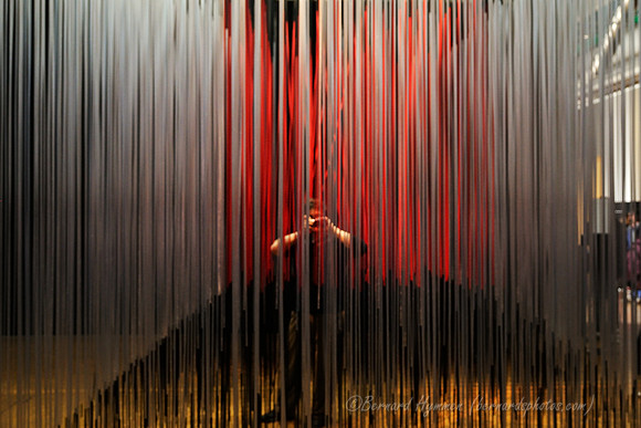 D300_85320