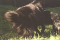 9QUV_028.JPG