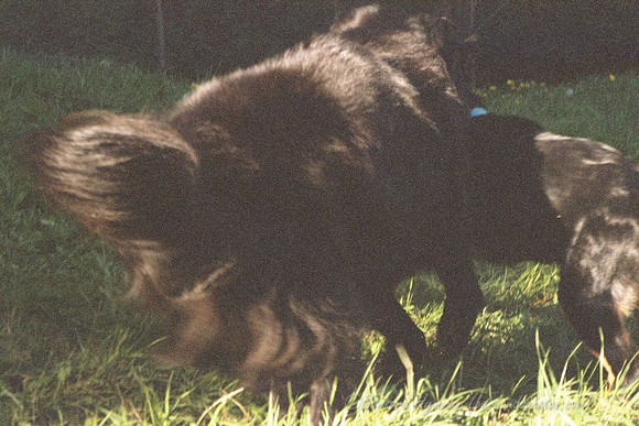 9QUV_028.JPG