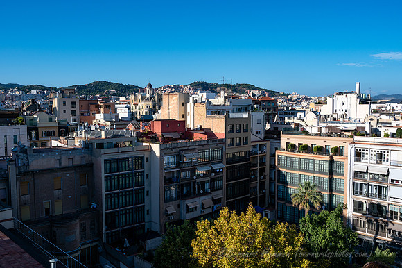 Z6_187767