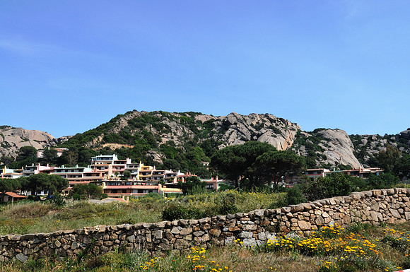 D300_45931.jpg
