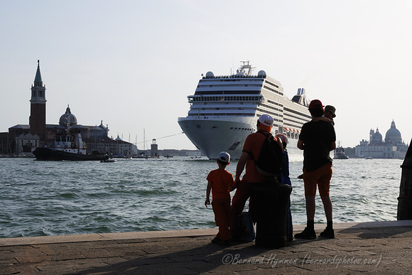 D300_44945.jpg