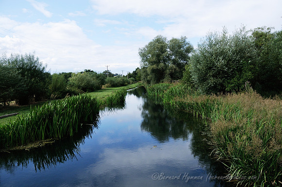 D300_99916