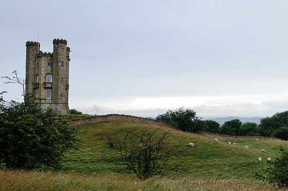 D300_99383