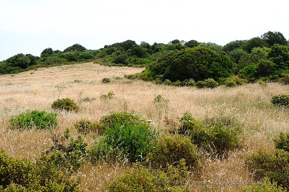 D300_47224.jpg