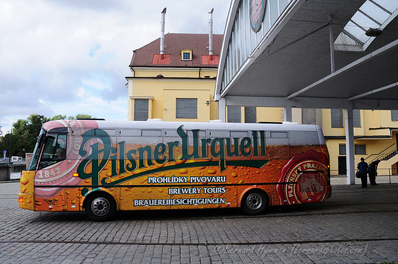 D300_75416