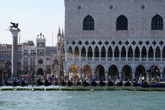 D300_45657.jpg