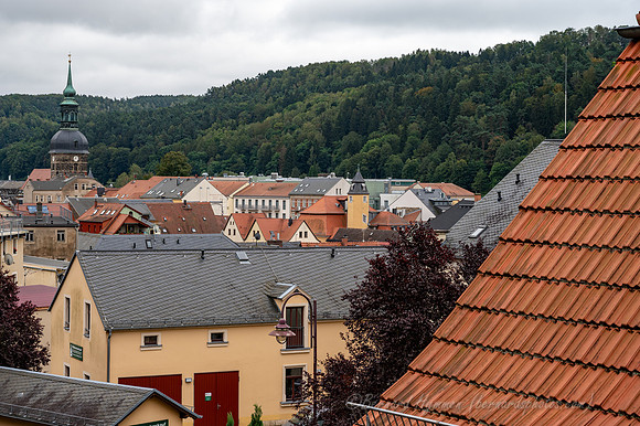 Z6_186484
