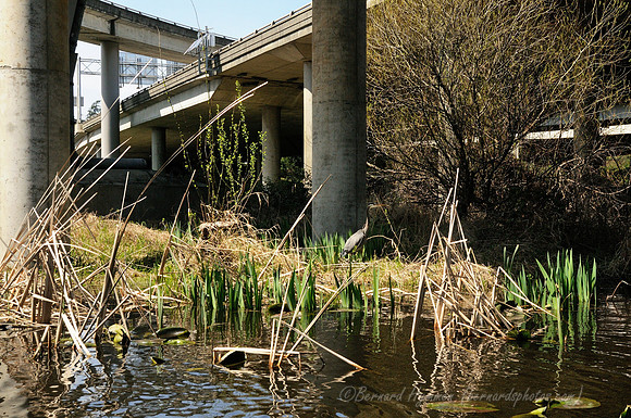 D300_71740