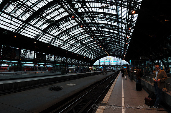 D70_17496