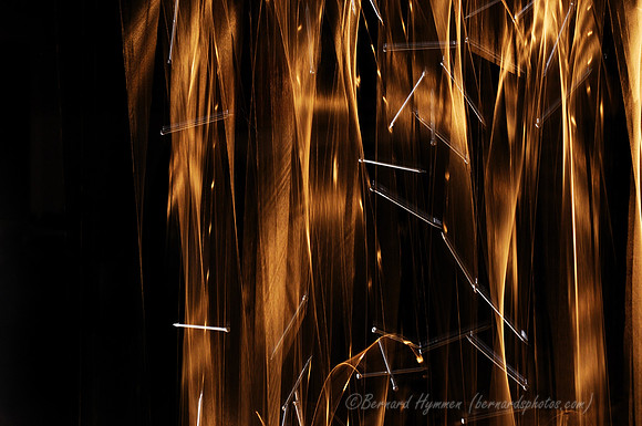 D300_62550