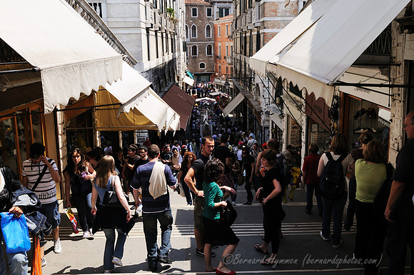 D300_44502.jpg