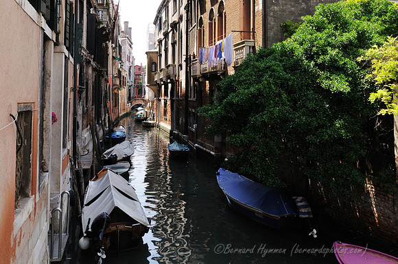 D300_44463.jpg