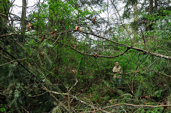 D300_62419