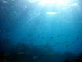 SD800_58230