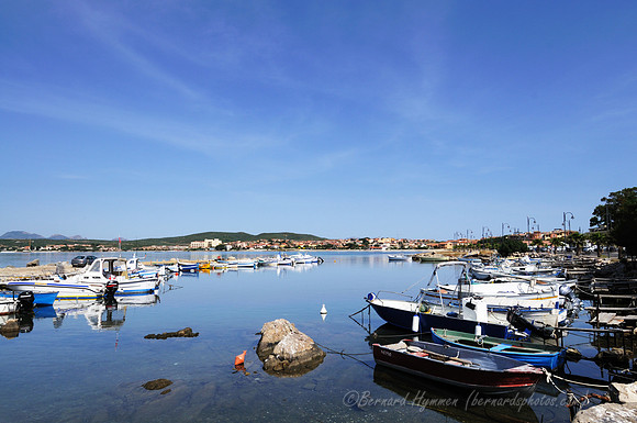 D300_45832.jpg