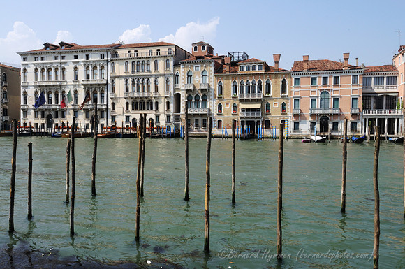 D300_45198.jpg