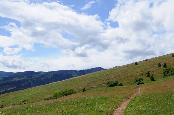 D300_96282