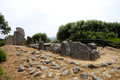 D300_47242.jpg