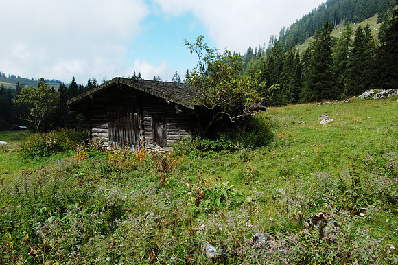 D70_18420
