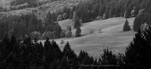 D300_63461
