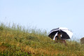 D300_46191.jpg