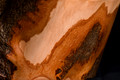 Z6_176280