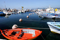 D300_46647.jpg
