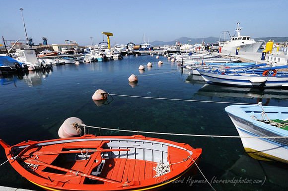 D300_46647.jpg