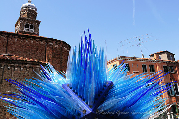 D300_44830.jpg