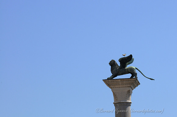 D300_45576.jpg