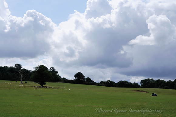 D300_99831