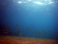 SD800_58200