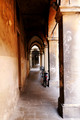 D300_47563.jpg