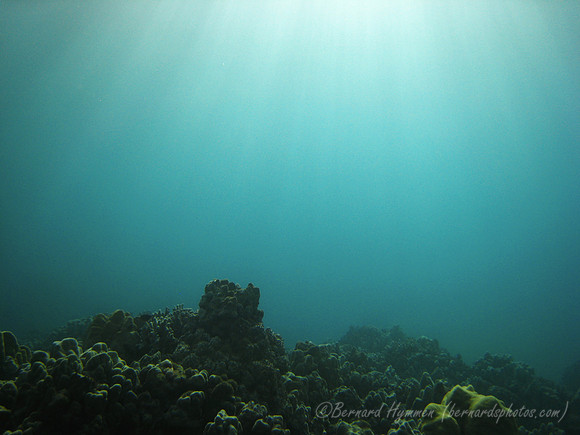 SD800_58124