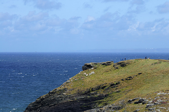 D300_100879