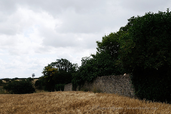 D300_99609