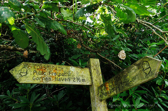 D300_100569