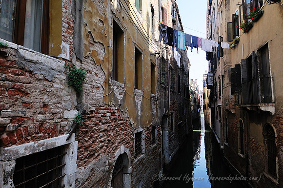 D300_44725.jpg