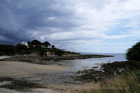 D300_100626
