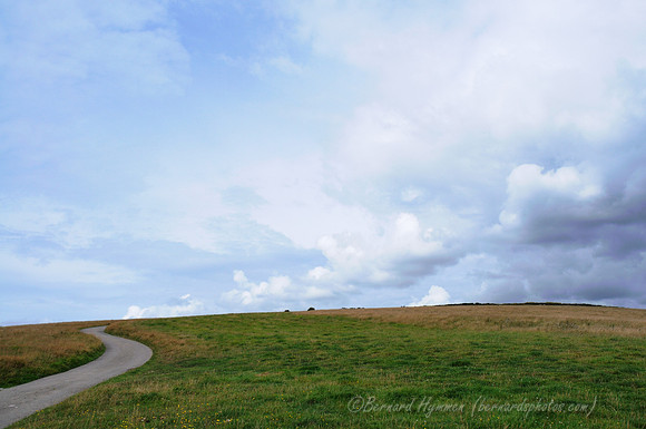 D300_100608