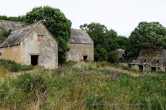 D300_99056
