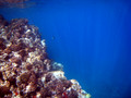 SD800_58599