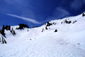 D300_88434