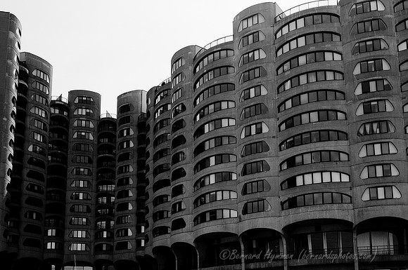 D300_64372