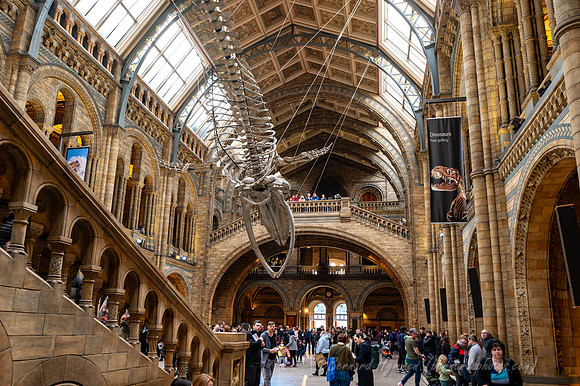 Z6_182995