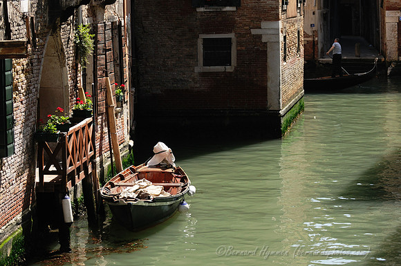 D300_44789.jpg