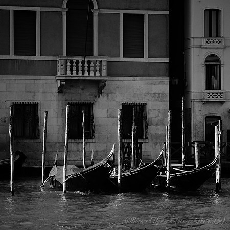 D300_45673.jpg